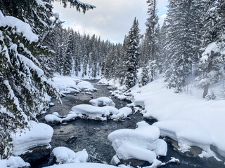 Snowy Winter landscape of Yellowstone National Park
