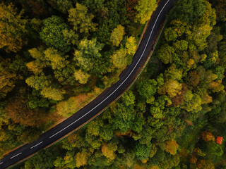 Top down aerial view drone image on the road trough the trees and forest in mountain range in autumn day - Babin Zub Old Mountain in Serbia - Travel journey and vacation concept