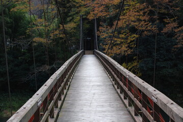 Obraz premium 吊り橋