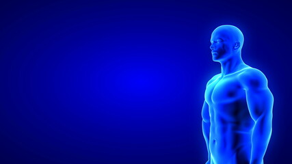 male fitness body - muscle mass building illustration on blue background