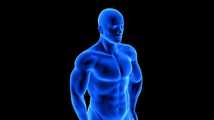 male fitness body - muscle mass building illustration on black background