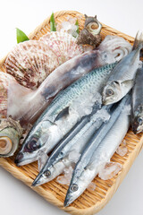 魚介盛り合わせ