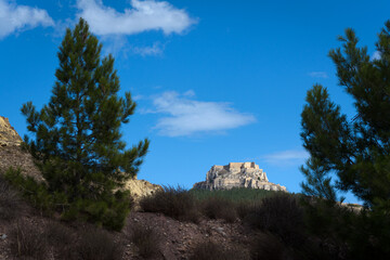 Fototapeta na wymiar View of the castle of Morella between two pine trees, Morella, Castellon, Spain