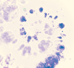 Watercolor Grunge Design. Circular Cool Dress. 