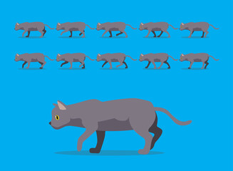 Animal Animation Sequence Korat Cat Cartoon Vector