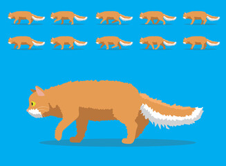 Animal Animation Sequence Cat Laperm Cartoon Vector
