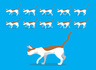 Animal Animation Sequence Oriental Cat Cartoon Vector