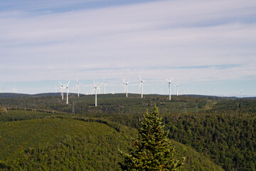 Fototapeta na wymiar View of wind turbines in Carleton-sur-mer, Canada