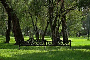 Bench in the Park