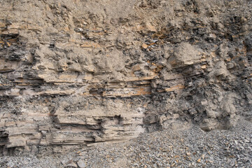 Outcrop of the Devonian beds  rich in fossil fish in the Miguasha national park, Canada