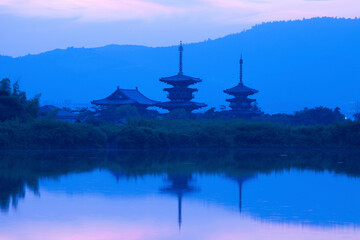 奈良県薬師寺の夜明け