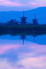 奈良県薬師寺の夜明け