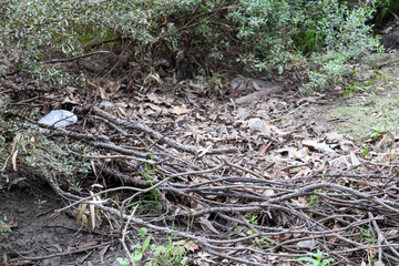 garbage and leaf litter in parkland