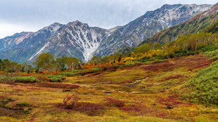 栂池自然園　展望湿原　紅葉