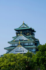 Fototapeta premium 大阪城天守閣