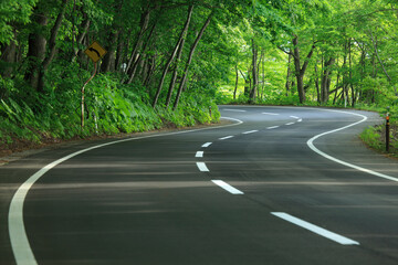 新緑のカーブする道