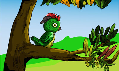 Bird cartoon hand drawn illustration for Children's Book