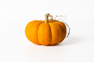 CALABAZA