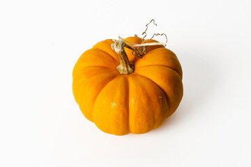 Calabaza aislada
