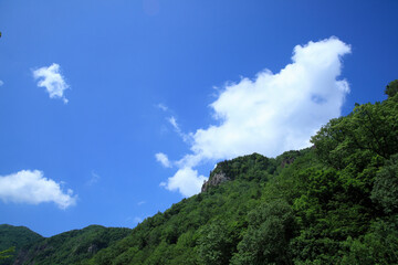 Fototapeta na wymiar 層雲峡の新緑と雲