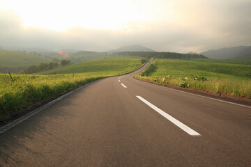 夕暮れの一本道