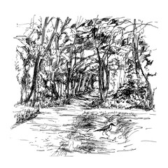 City Park, square, street. Graphic, naturalism. Drawing with a black liner on a white background. Trees, vegetation, buildings of urban and Park landscape. Square bitmap illustration.