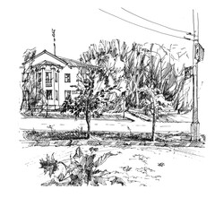 City Park, square, street. Graphic, naturalism. Drawing with a black liner on a white background. Trees, vegetation, buildings of urban and Park landscape. Square bitmap illustration.