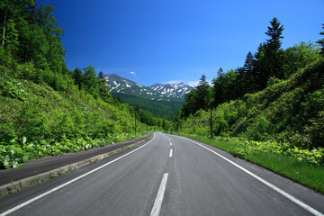 十勝岳へ続く道