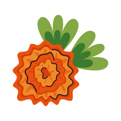 beautiful orange flower and leafs garden flat style icon