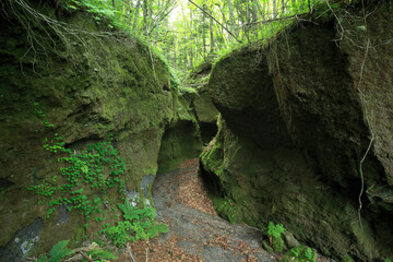 苔の洞門