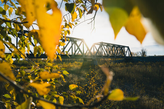 Maintenance Trains Crossing Truss Bridge in Autumn