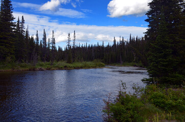 Fototapeta na wymiar Montana - River View from Two Medicine Campgrounds