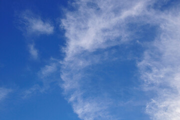 Fototapeta premium 青空と白い雲