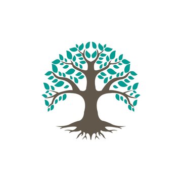 Tree of Life, oak banyan leaf and root seal emblem stamp logo design inspiration, TREE LEAF GREEN COLOR