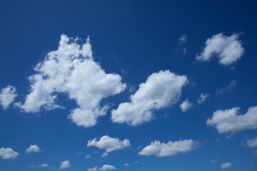 夏の青空にポッカリ浮いた白い雲