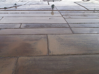 Farmer in Rice Field in Besut, Malaysia