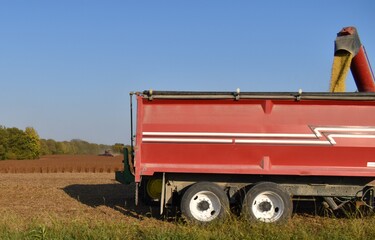 Fall Grain Harvest © Steve