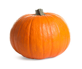 Fresh ripe pumpkin isolated on white. Organic plant