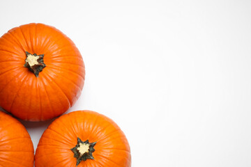 Fresh ripe pumpkins on white background, top view. Space for text