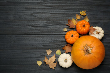 Fresh ripe pumpkins and autumn leaves on black wooden table, flat lay. Space for text