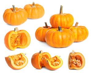 Set of fresh pumpkins on white background