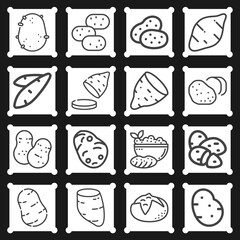16 pack of root vegetable  lineal web icons set