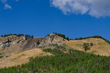 Treed Mountain