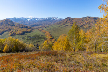 Naklejka premium beautiful mountain landscape in autumn