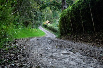 Un camino