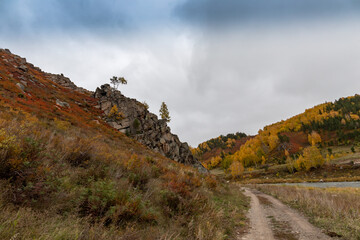 colorful autumn landscape in the foothills of altai