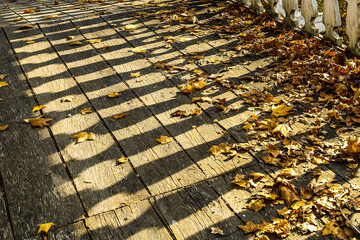 Obraz premium Autumn. Shadows on a wooden bridge. Autumn leaves on a sunny day lying on a wooden background.