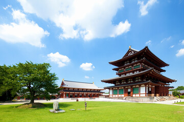 奈良県の薬師寺金堂と大講堂