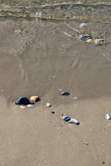 sandy beach on the Aegean Sea in the morning, resort, vertical format