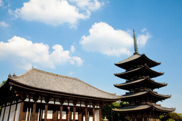 Obraz premium 奈良県興福寺金堂と五重塔